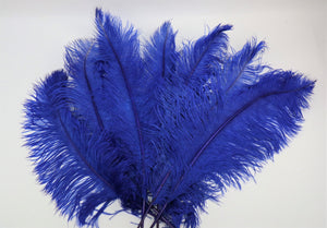 Straussenfeder "blau"