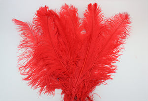 Straussenfeder "rot"