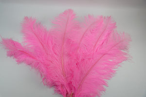 Straussenfeder "pink"