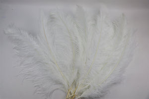 Straussenfeder "weiss"