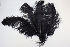 Straussenfeder "noir"