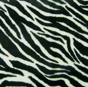 Fellimitat Zebra