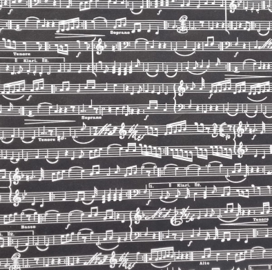 Baumwolle Musiknoten "schwarz"