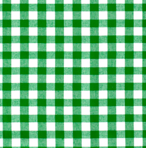 Popeline Karo "grün"